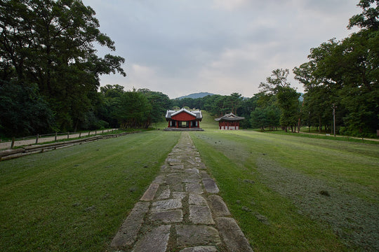10mm F2.8 Ultra Wide Angle - Rokinon
