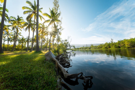 10mm F3.5 SP Full Frame (Canon EF with Automatic Chip) - Rokinon
