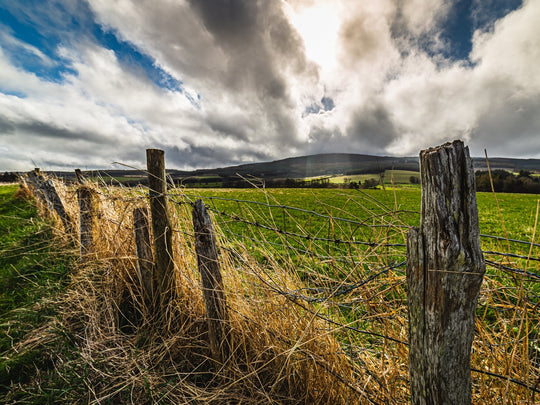 14mm F2.8 SERIES II Full Frame Ultra Wide Angle - Rokinon