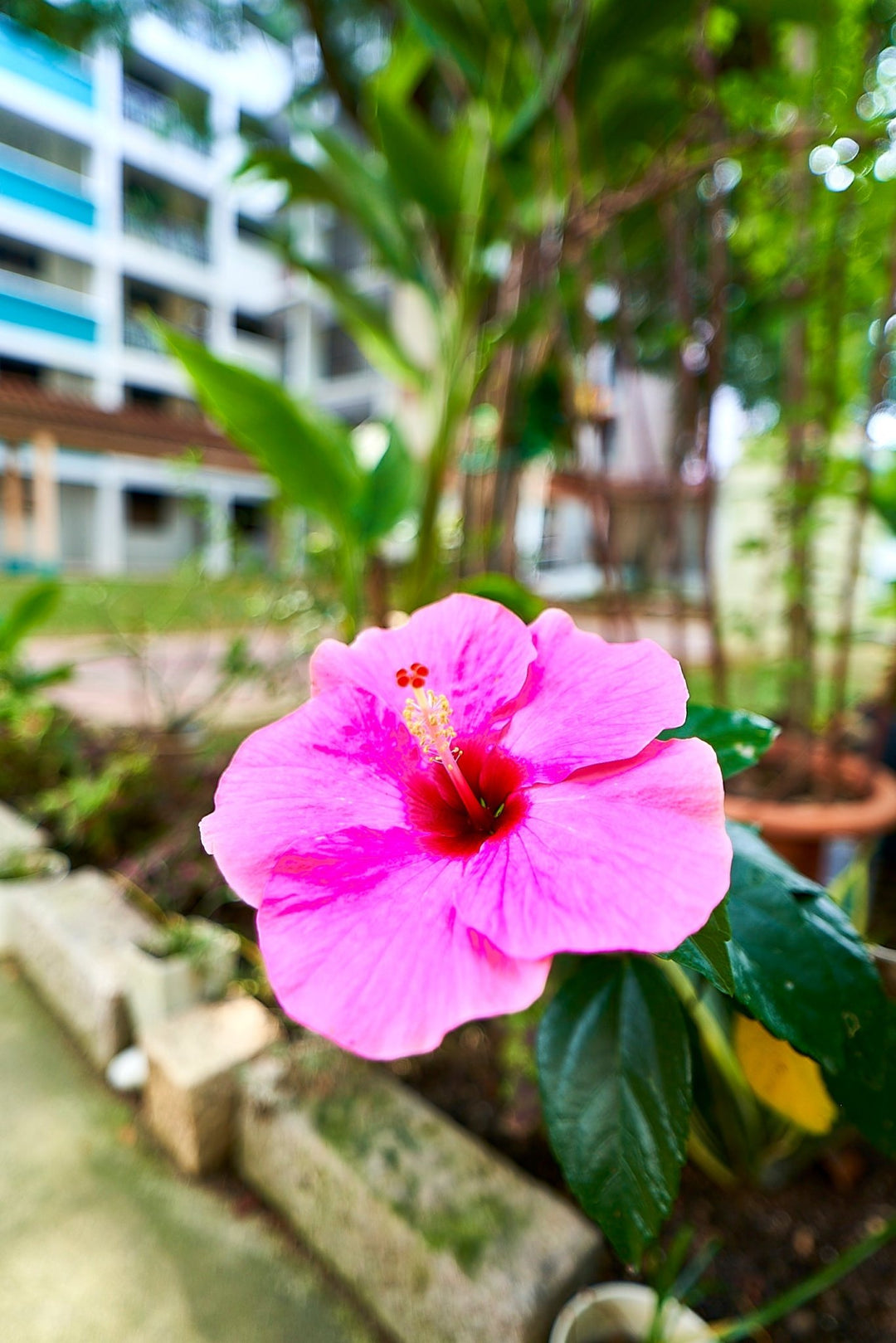 18mm F2.8 AF Compact Full Frame Super Wide Angle (Sony E) - Rokinon