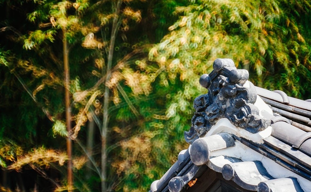 300mm F6.3 Catadioptric Compact Telephoto for Mirrorless Cameras - Rokinon