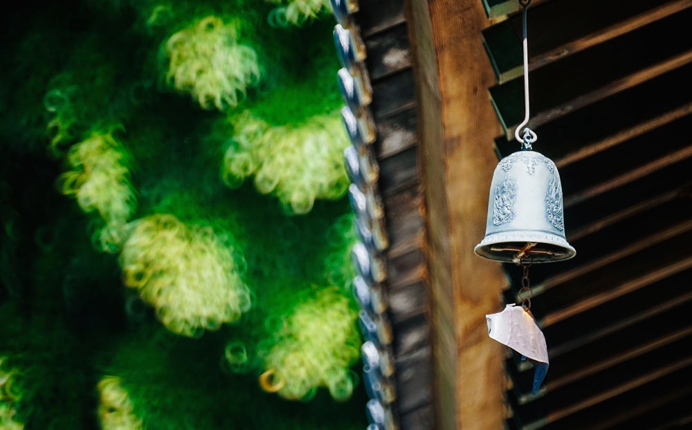 300mm F6.3 Catadioptric Compact Telephoto for Mirrorless Cameras - Rokinon