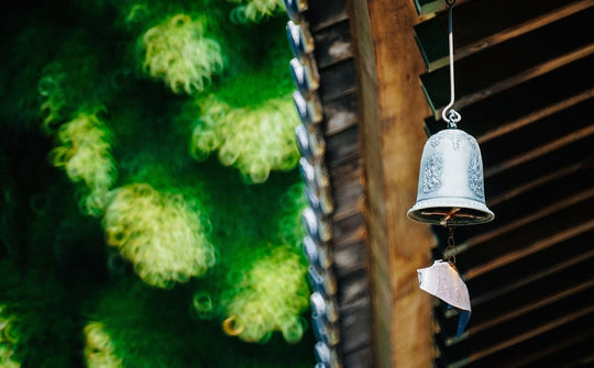 300mm F6.3 Catadioptric Compact Telephoto for Mirrorless Cameras - Rokinon