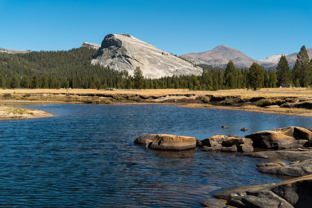 50mm F1.4 AF Full Frame (Sony E) - Rokinon