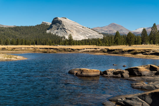 50mm F1.4 AF Full Frame (Sony E) - Rokinon