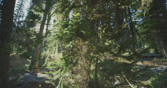 14, 16, 24, 35, 50, 85, 135mm XEEN Pro Cinema Lens Bundle