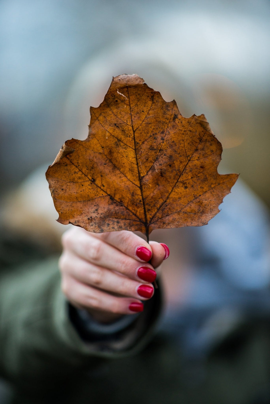 85mm F1.2 SP Full Frame (Canon EF with Automatic Chip) - Rokinon