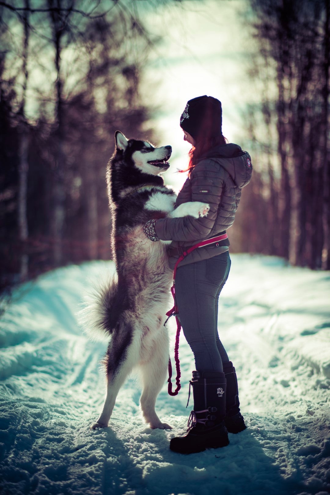 85mm F1.4 AF High Speed Full Frame Telephoto (Nikon F) - Rokinon