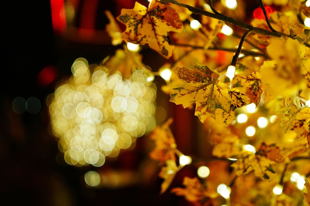 35mm F1.4 AF Wide Angle with Lens Station (Sony E)