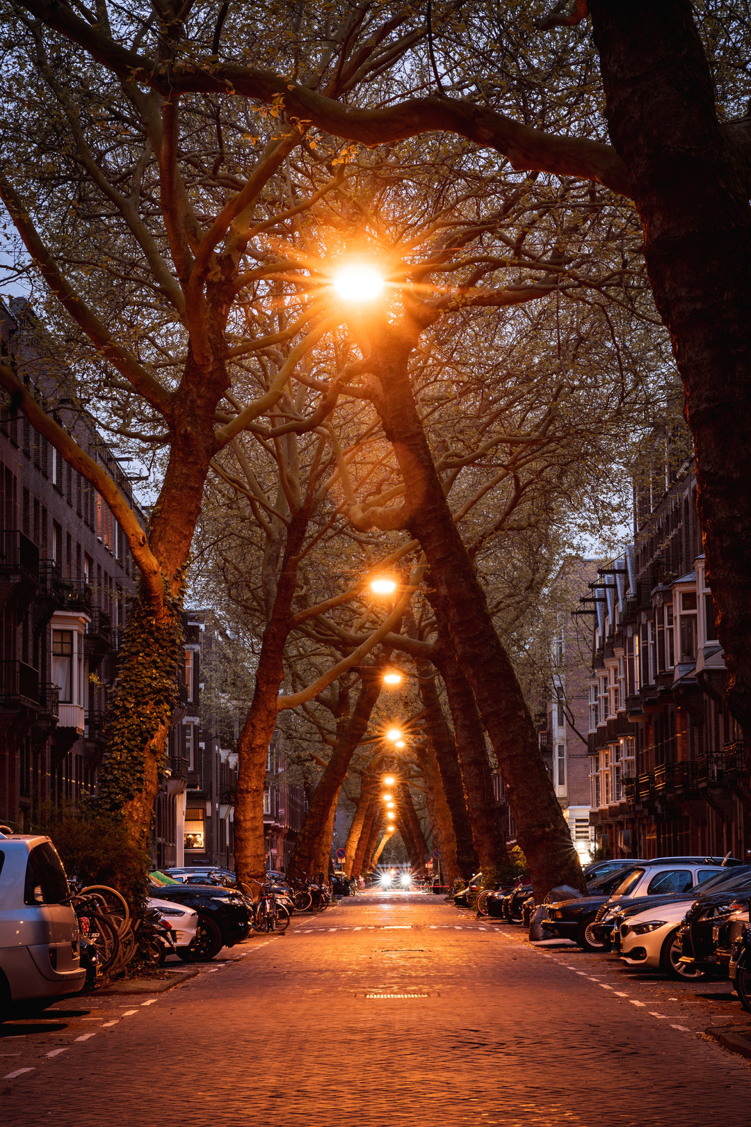 85mm F1.4 SERIES II High Speed Full Frame