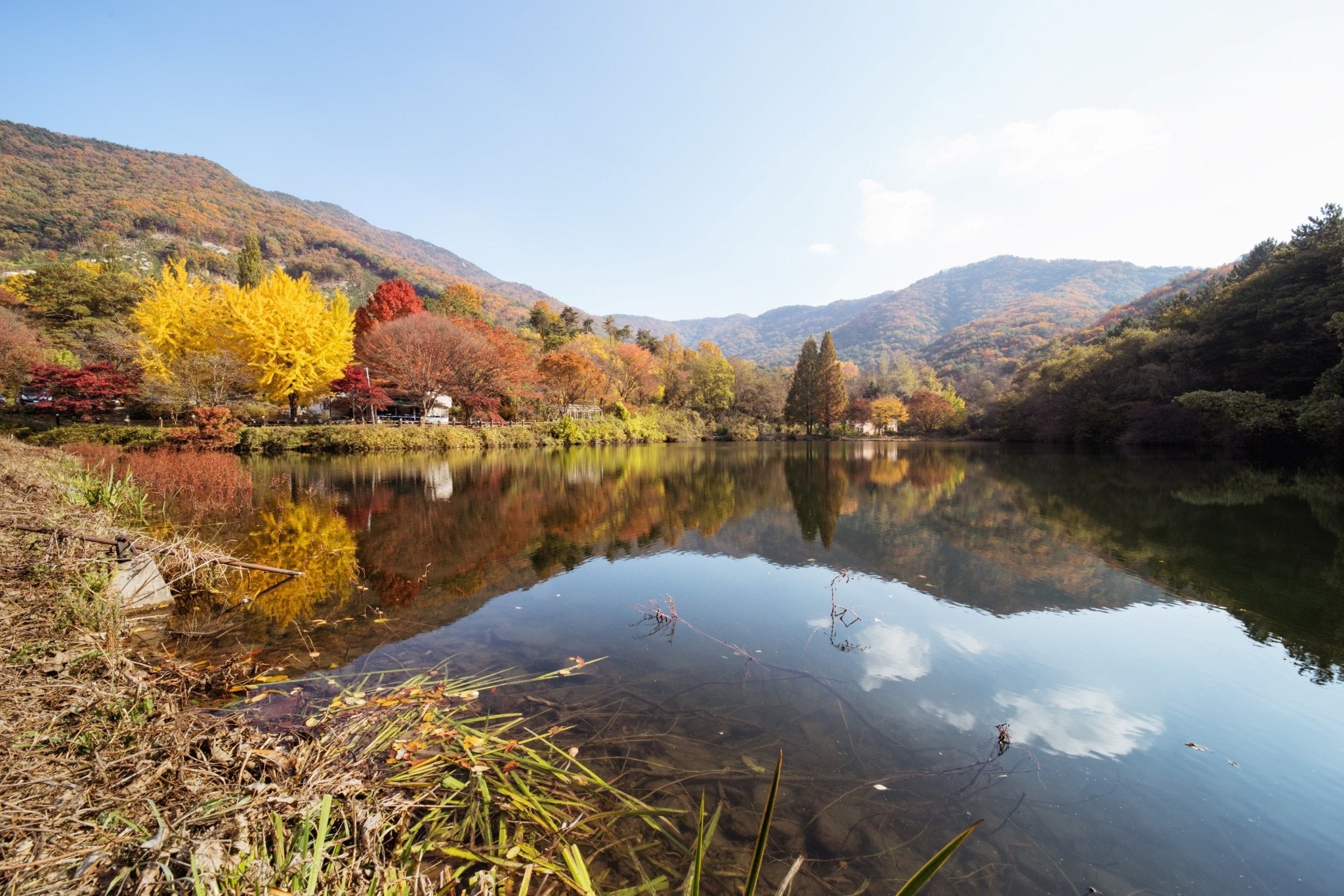 14mm F2.8 AF Weather Sealed Wide Angle with Lens Station