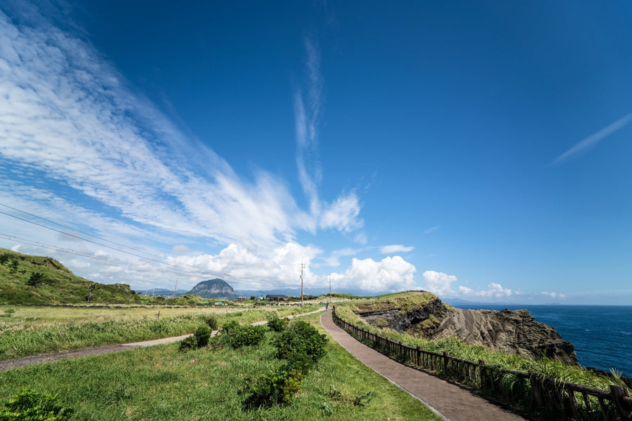 14mm F2.8 AF Wide Angle with Lens Station (Sony E) - Rokinon