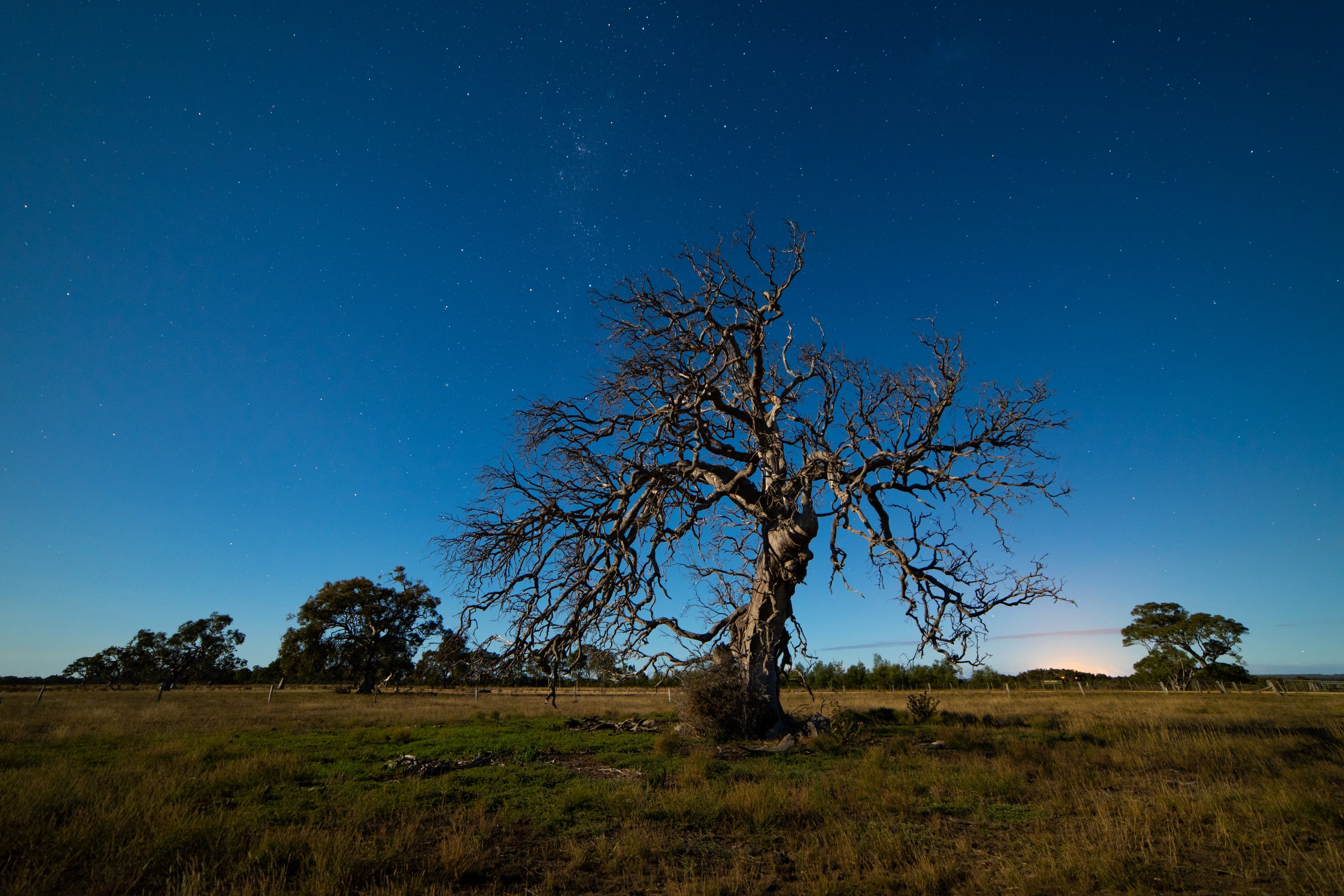 ミサキ　Canon 14mm 14mm-f28-full-frame-ultra-wide